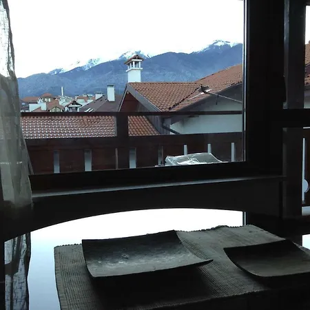 Rooftop Flat Bansko